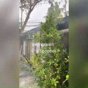 ชุดละออง หมอก พร้อมสาย ชุดหมอก พร้อมการใช้งาน ชุดเล็ก