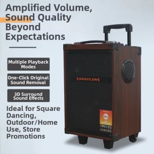 BONINGYU | Bluetooth Trolley Speaker High Power