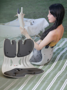 Car & Office Use Waist Support Cushion