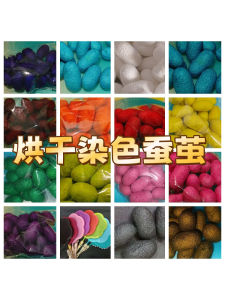 Bộ Vật Liệu Thủ Công DIY Từ Vỏ Bướm Sáng Tạo Cho Trẻ Em Từ 4-12 Tuổi Vật Liệu Sơn Màu Làm Quạt Tròn Vật Liệu Thủ Công Sáng Tạo