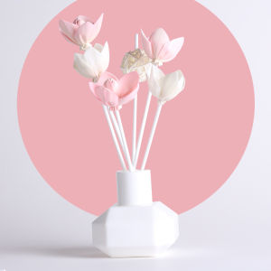 INS Hotel Aromatherapy Fire Extinguisher Bottles Glass Bottle Perfume Sub-Bottles Florida Water DIY Rattan Dried Flower Indoor Fragrance Ornaments