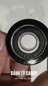 (HUE) Bánh tỳ đỡ lồng máy sấy CANDY
