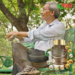 New!!ถั่งเช่าพลัส 30 แคปซูล