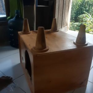 Cat Box Ruang Tamu Uk. XL - Tipe Kepala Kucing Vernis Clear