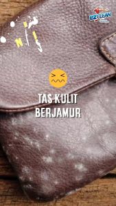 EZCLEAN PAKET LENGKAP PEMBERSIH PERABOT KULIT PEMBERSIH SOFA SEPATU TAS JAKET JOK MOBIL IKAT PINGGANG EZCLEAN LEATHER CLEANER + LAP MICROFIBER SERBAGUNA