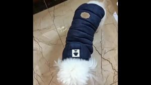 Windproof Cozy Puppy Jacket Autumn Winter Pet Dog Clothes for Small Medium Dogs Cats Soft Solid Coat Bulldog Pug French Outfit