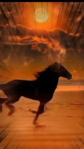 แปรงขนม้าหนังสือ