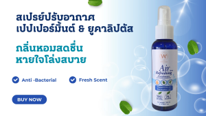 สเปรย์ปรับอากาศ จากน้ำมันหอมระเหยเปปเปอร์มิ้นต์และยูคาลิปตัส