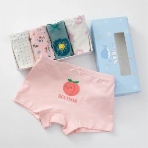 Quần Chip Bé Gái Quần Lót Cho Bé Gái Họa Tiết Công Chúa Dễ Thương Chất Liệu Vải COTTON Kháng Khuẩn Mã DL-001
