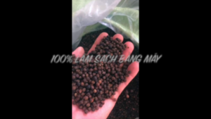 MACPEPPER Tiêu đen nguyên hạt cay nồng.