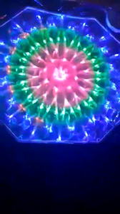 Hot Sale Flashing Christmas Lights Outdoor Decoration