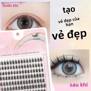 160 Cụm Mi Giả Tự Nối Kiểu C Tự Nhiên Thân Mỏng Đầu Hình Bông Lúa Từng Cụm Riêng Lẻ Dùng Trang Điểm Mắt