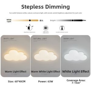 Full Spectrum LED Ceiling Light