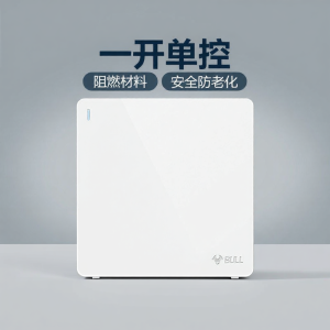 Bull | Single Control Wall Switch for Home Use