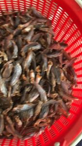 Khô Cá Chốt Bạc Liêu Loại 1 Từ Cá Đồng Tươi Sống Tự Nhiên