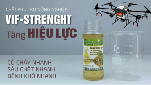 VIF-STRENGHT - Chất phục trợ nông nghiệp - Tăng hiệu lực chai 250ml