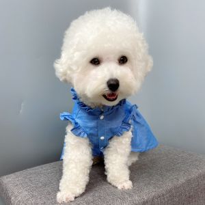 Dog Dress Pattern Summer Teddy Small Medium Size Cute Skirt Dress Pattern Pomeranian One-Piece Dress Sample Pet Fashion