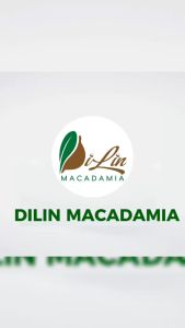 DiLin Nhân Hạt Macca Sấy Tự Nhiên Size Nhỏ (Lon 500g)