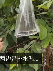 ∏●■ Net bag guava anti-insect anti-bird special one fruit net cover foam protection