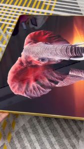 รวมรูปช้าง รูปตกแต่งบ้านสุดหรูหรา