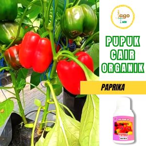 Pupuk Paprika Organik Bantu Percepat Masa Tumbuh Pelebat Paprika Berkualitas By Jagotani Yogyakarta