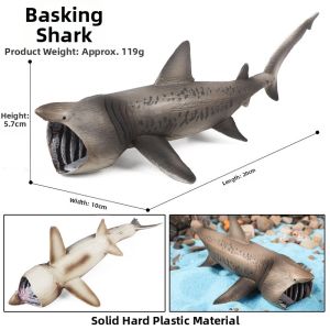 Child Simulation Marine Creatures Model