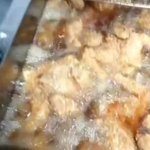 Electric Pot Deep Fryer Electric Fryer Deep Fryer Electric Fried Chicken Wing Fried Chicken Cutlet with Oil Valve