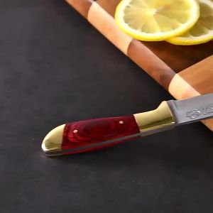 TINGLING | Portable Multi-Purpose Steak Knife High Hardness