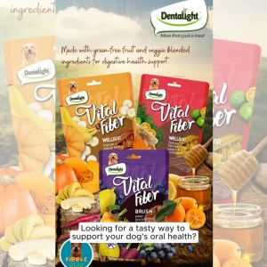 Dentalight Vital Fiber Grain Free Wellbar Stick - Fruit &Veggie (80g)