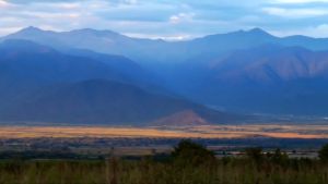 *** GOURMET SPECIALTY MIX & MATCH HALF CASE 6x 750ml ***     FLAGSHIP WINES FROM GEORGIA - MUST TRY IN ONES LIFE TIME