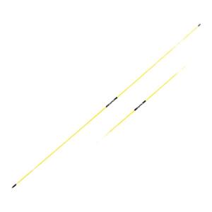 Callaway | Collapsible Golf Direction Stick