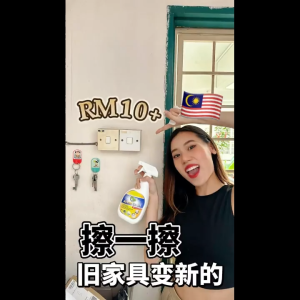 Phio Spray 500ml | All-in-One Cleaner | Removes Oil & Dirt | Glossy Surfaces | Pine Oil Scent