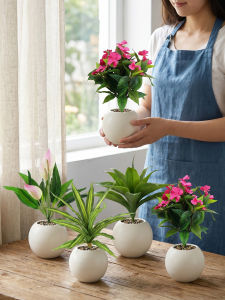LIANYOU | Realistic Imitation Plant Mini Bonsai Indoor Decor High-End Ornament