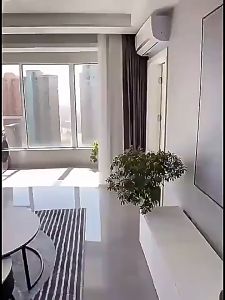 Formaldehyde Remover Box Air Purifier Car House Room Air Freshener House Deodorizer 去除甲醛小绿罐新房家用强力型清除剂希望果吸甲醛去异味果冻神器