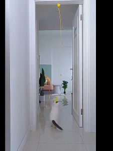 Mainan Kucing Model Gantung Dengan Lonceng Pet Cat Toy Bola Bulu Tali Spring