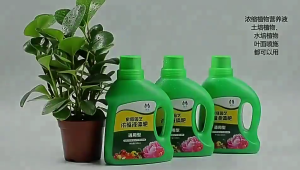 【SG STOCK✅】500ml Universal Plant Nutrient Solution Concentrated Nutrient for Fruits Vegetable Flowers Plant