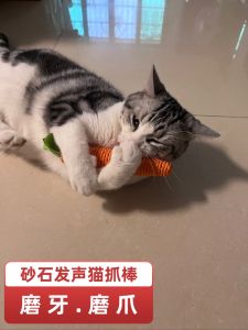 Cat Toy Cat Teaser Cat Scratching Stick Sound Bell Molar Grinding Claw Bite-Resistant Self-Hi Relieving Stuffy Kittens Toy Supplies