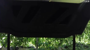 Outdoor Tumbling Composter Dual Rotating Batch Compost Bin 43 Gallon Orange Door