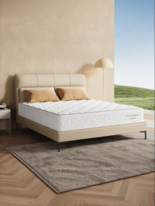 Natural Import Latex Spring Mattress Dual Sleeping Feel