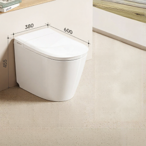 RIIFO | Automatic Intelligent Toilet Bidet Home Use