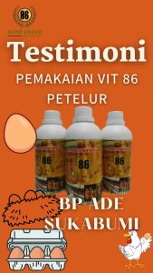 VIT 86 (PETELUR) | Suplemen Organik untuk Meningkatkan Produksi Telur