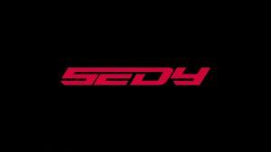 Bộ Tua Vít Từ Tính Cao Cấp SEDY 80 Món - Hệ Mét & SAE Với Bộ Chuyển Đổi Đầu Nối Giá Đỡ Mũi Vít Tua Vít Cánh Mũi Vít Lực Dùng Cho Sửa Chữa Ô Tô