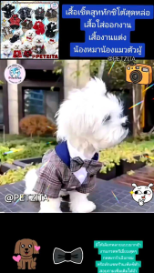 🇹🇭พร้อมส่ง🇹🇭 เสื้อเชิ๊ตสูทสัตว์เลี้ยง สุดเท่ห์ สูทงานแต่ง เสื้อใส่ออกงาน for pet สุนัข หมา แมว