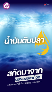 Cod Liver Oil  Preventive Life ( น้ำมันตับปลาพรีเมียม) ชนิดแคปซูล 1ขวด/60แคปซูลแถมฟรีฟริสซี 1 ซอง