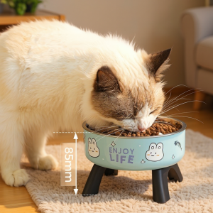 Anti-Tip Stainless Steel Pet Bowl with Cute Bunny Design | Elevated Non-Slip Perfect for Cats and Dogs Durable Plastic Base