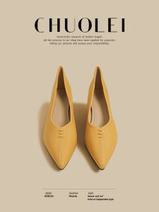 CHUOLEI | Spring Yellow Vintage Square Heel Mary Jane Shoes