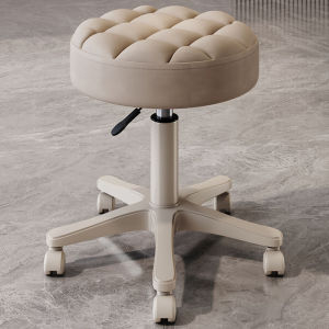 Swivel Adjustable Beauty Salon Chair