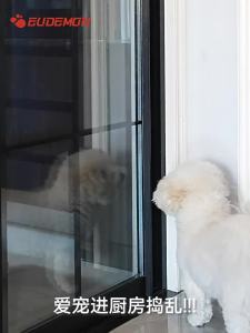 EUDEMON | Cat Proof Door Lock Security Lockout