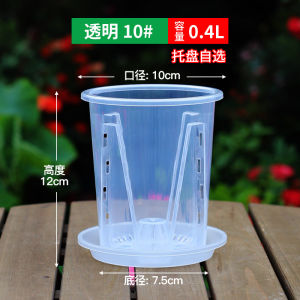 Large Size Plastic Hollow out Breathable Butterfly Orchid Pot Transparent Water Moss Orchid Flower Pot Home Desktop Decoration