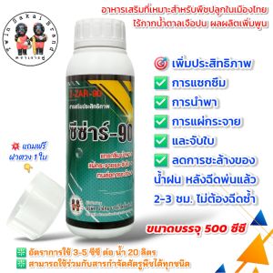 ตราเงาะคู่ ซีซ่าร์-90 สารเสริมประสิทธิภาพ นำพา แทรกซึม แผ่กระจาย จับใบ [ส่งฟรี]